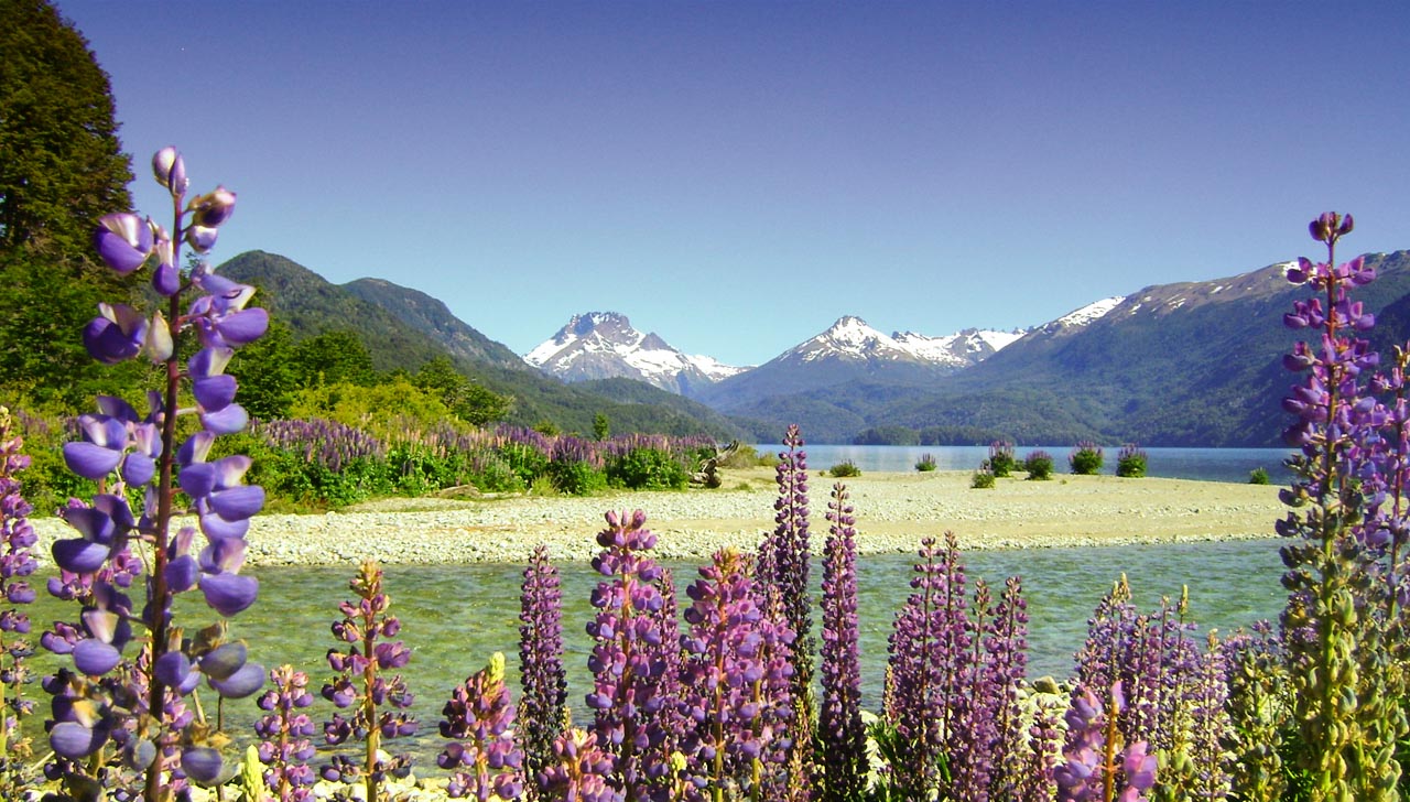 camping en bariloche